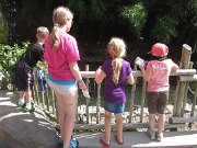 IMG_5001