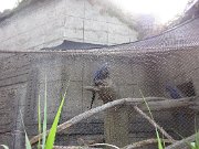 IMG_5008