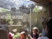 IMG_5011