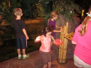 IMG_5033
