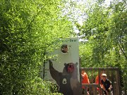 IMG_5038