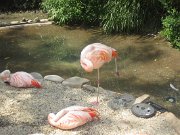 IMG_5044
