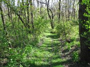IMG_0876