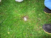 IMG_1998