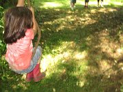 IMG_2078