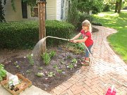 IMG_2095