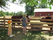 IMG_2311