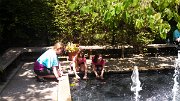 IMG_20130615_140335_119
