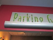 IMG_5667