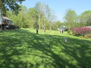 IMG_5798