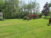 IMG_5803