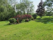 IMG_5814