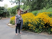 IMG_6538