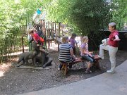 IMG_6542