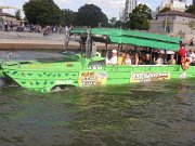 IMG_7076