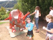 IMG_7156