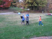 IMG_7341