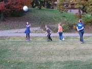 IMG_7342