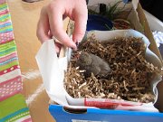 IMG_0153