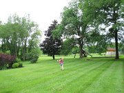 IMG_9461