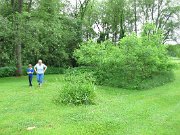 IMG_9465
