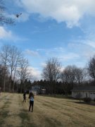 IMG_3113
