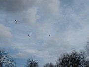 IMG_3128