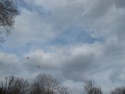 IMG_3130