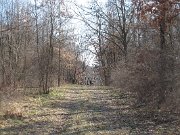 IMG_3228