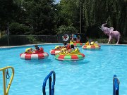 IMG_4804