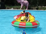 IMG_4807
