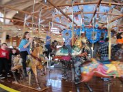 IMG_0518