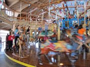 IMG_0521