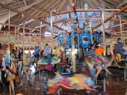 IMG_0525