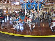 IMG_0528
