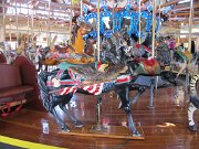 IMG_0529