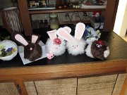 IMG_0555