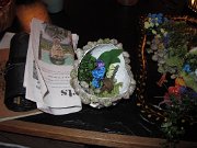 IMG_0558