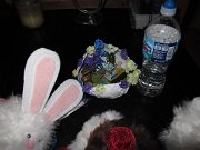 IMG_0559