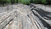 IMG_3704