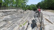 IMG_3705