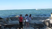 IMG_3727