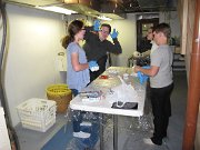 IMG_2246
