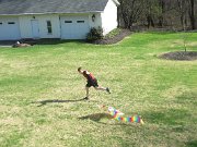 IMG_6896