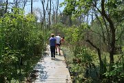 IMG_3837