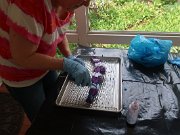 IMG_6699