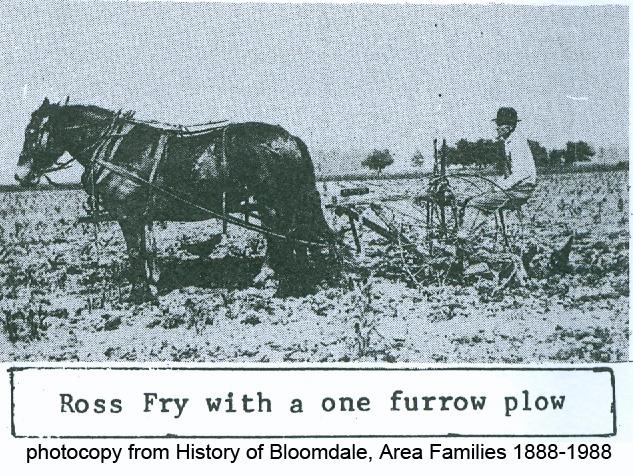 1917_Fry_Ross