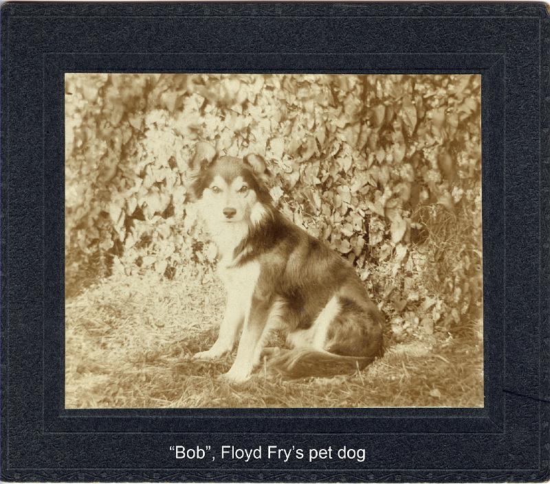 1920_Fry_floyd_dog