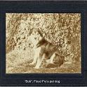 1920_Fry_floyd_dog