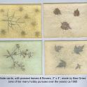 1960_Greer_notes_cards